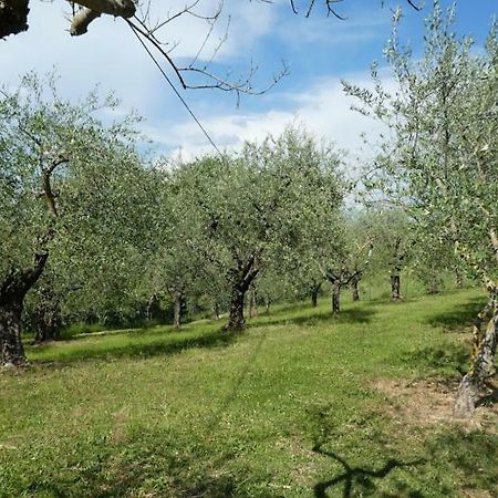Casa Giuliana Διαμέρισμα Κιούζι Εξωτερικό φωτογραφία