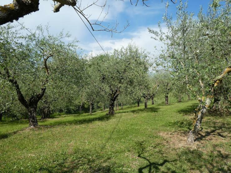 Casa Giuliana Διαμέρισμα Κιούζι Εξωτερικό φωτογραφία