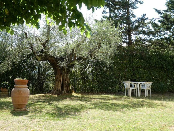 Casa Giuliana Διαμέρισμα Κιούζι Εξωτερικό φωτογραφία